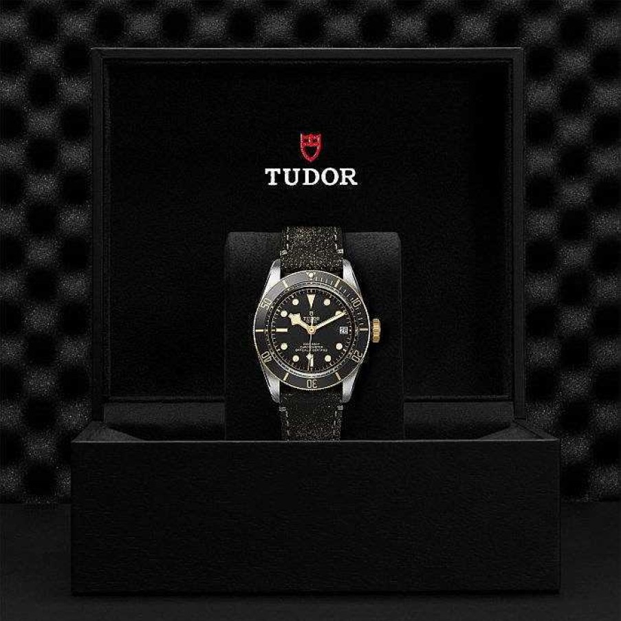 Relojes TUDOR Watch | Black Bay S&G 41Mm M79733N-0007