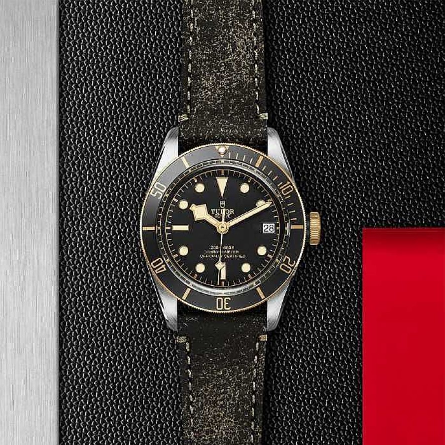 Relojes TUDOR Watch | Black Bay S&G 41Mm M79733N-0007