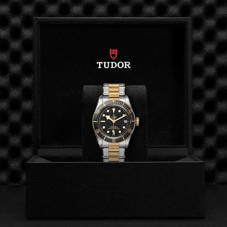 Relojes TUDOR Watch | Black Bay S&G 41Mm M79733N-0008